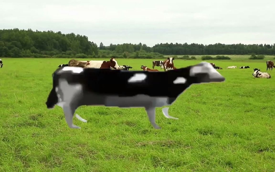 波兰牛装宽带_哔哩哔哩 (゜-゜)つロ 干杯~-bilibili