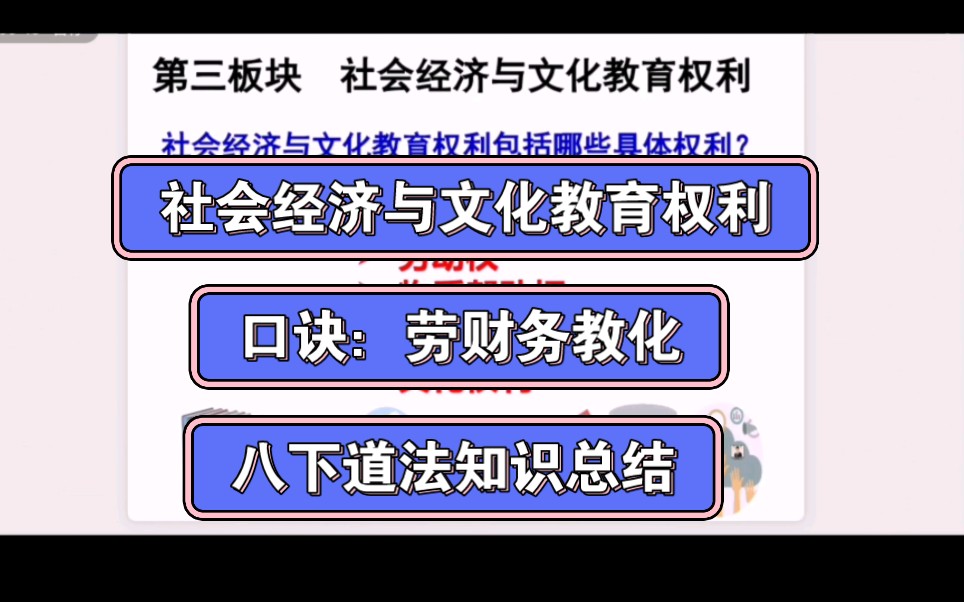 八下道法知识技巧10:公民的社会经济与文化教育权利哔哩哔哩bilibili