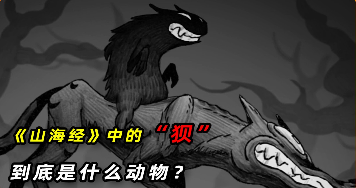 2018年,美国疑似捕捉到狈?狼狈为奸中的狈,到底是什么动物?_哔哩哔哩_bilibili