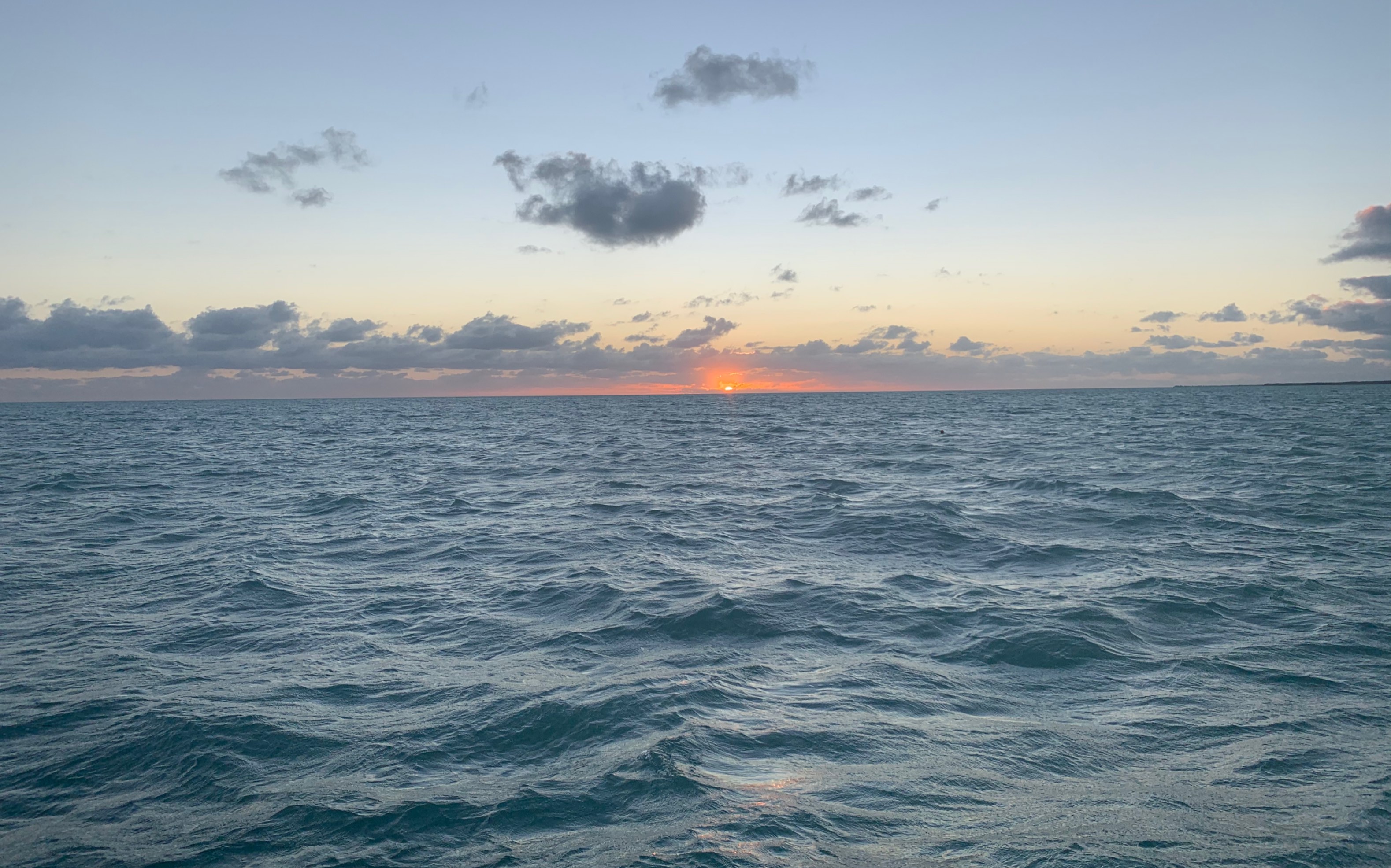 我的师妹不可能是傻白甜，却隐藏绝世修为，暗中掌控整个宗门，竟是武林第一高手。