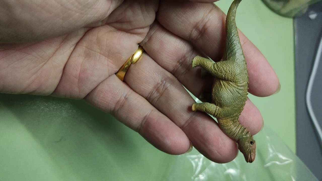 pnso阿马加龙(小号)