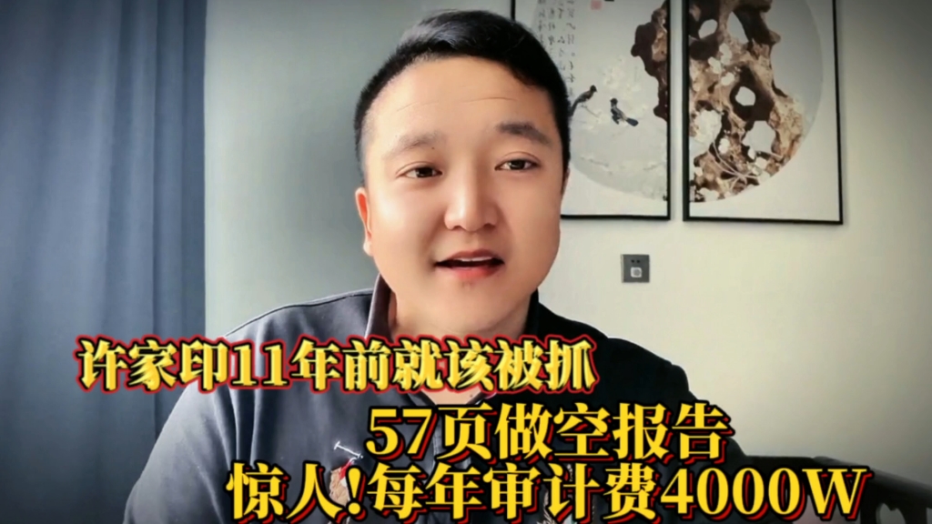 许家印11年前就该被抓了!57页做空报告!惊人!每年审计费4000W!哔哩哔哩bilibili