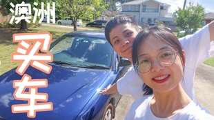 堪培拉买二手车 一 哔哩哔哩 つロ干杯 Bilibili