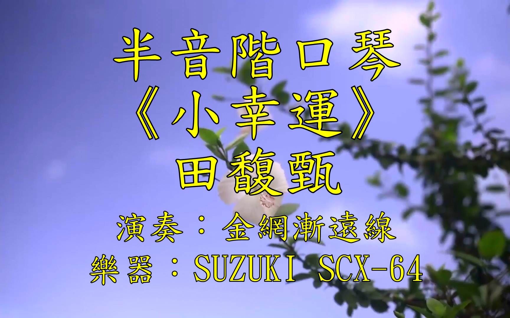 【口琴】《小幸运》田馥甄 半音阶口琴 suzuki scx-64演奏