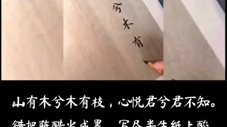 山有木兮木有枝哔哩哔哩bilibili