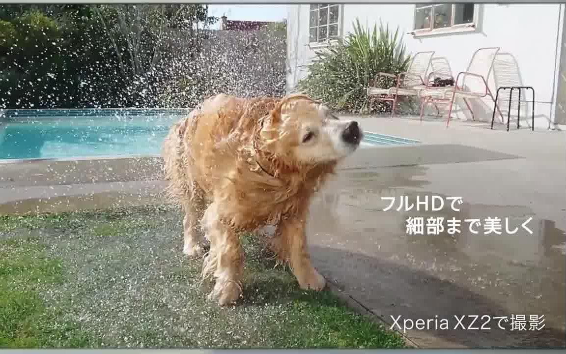 Sony/索尼 Xperia(日本) 30秒TVCM 全合集哔哩哔哩bilibili