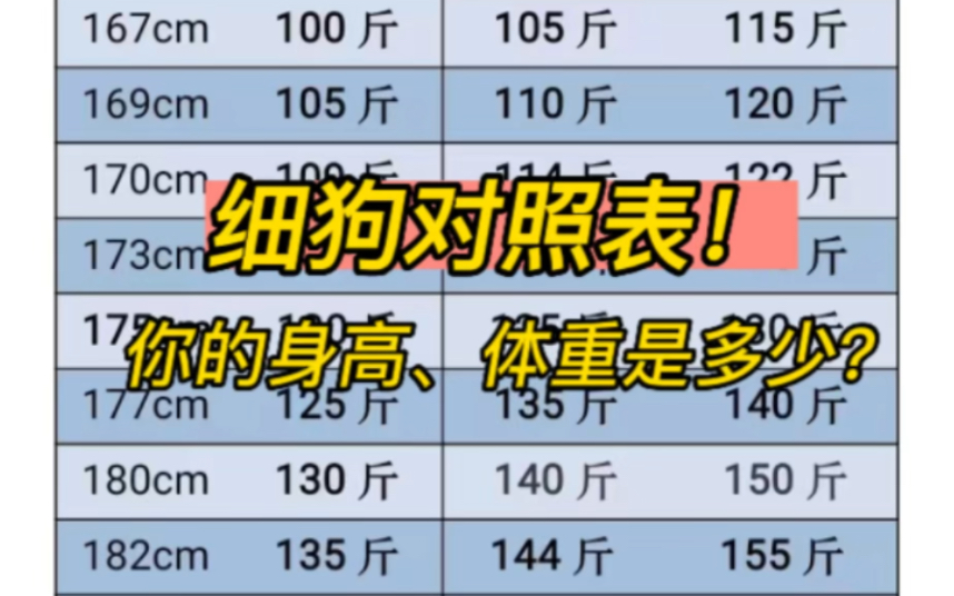 细狗身高体重对照表!对号入座看看你是不是细狗兄弟?哔哩哔哩bilibili