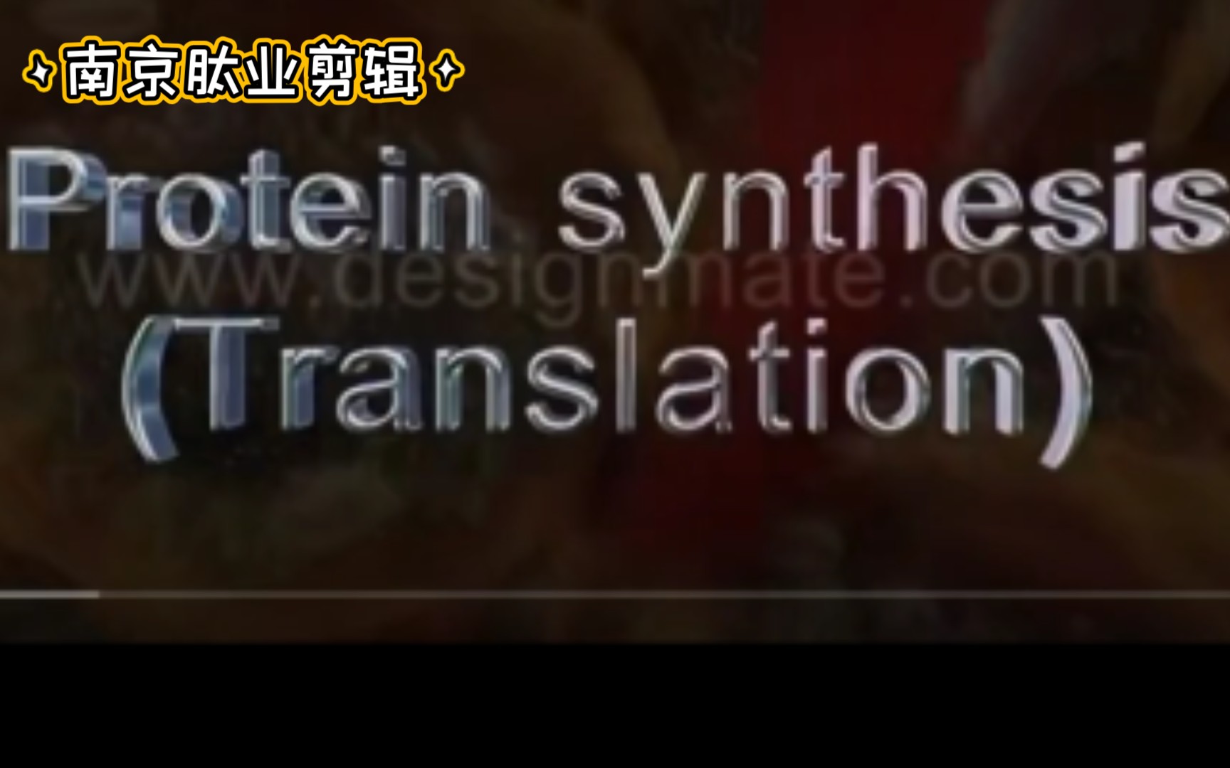 生物大片多肽/蛋白的生物合成「南京肽业 剪辑」三个版本一次看个够哔哩哔哩bilibili