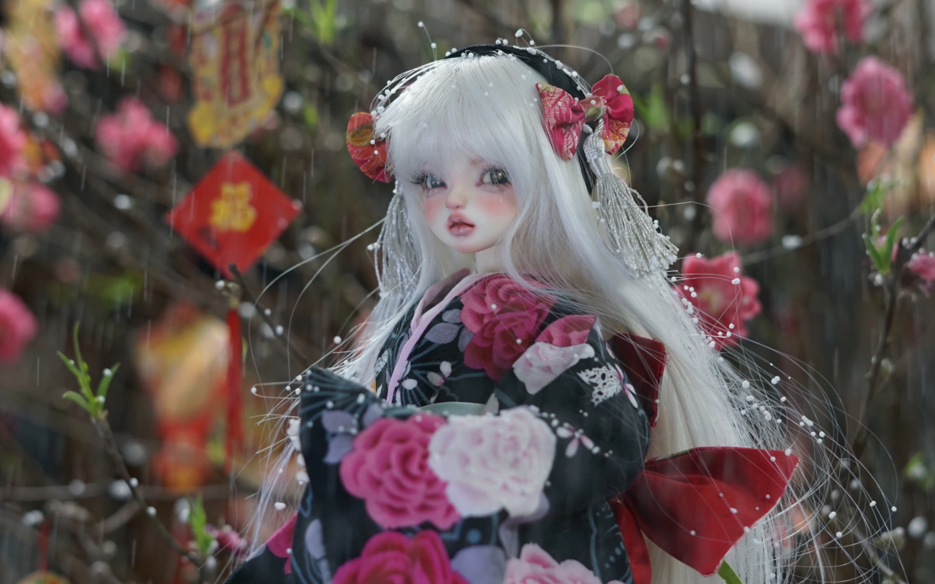 雪與花與和服少女|bjd攝影