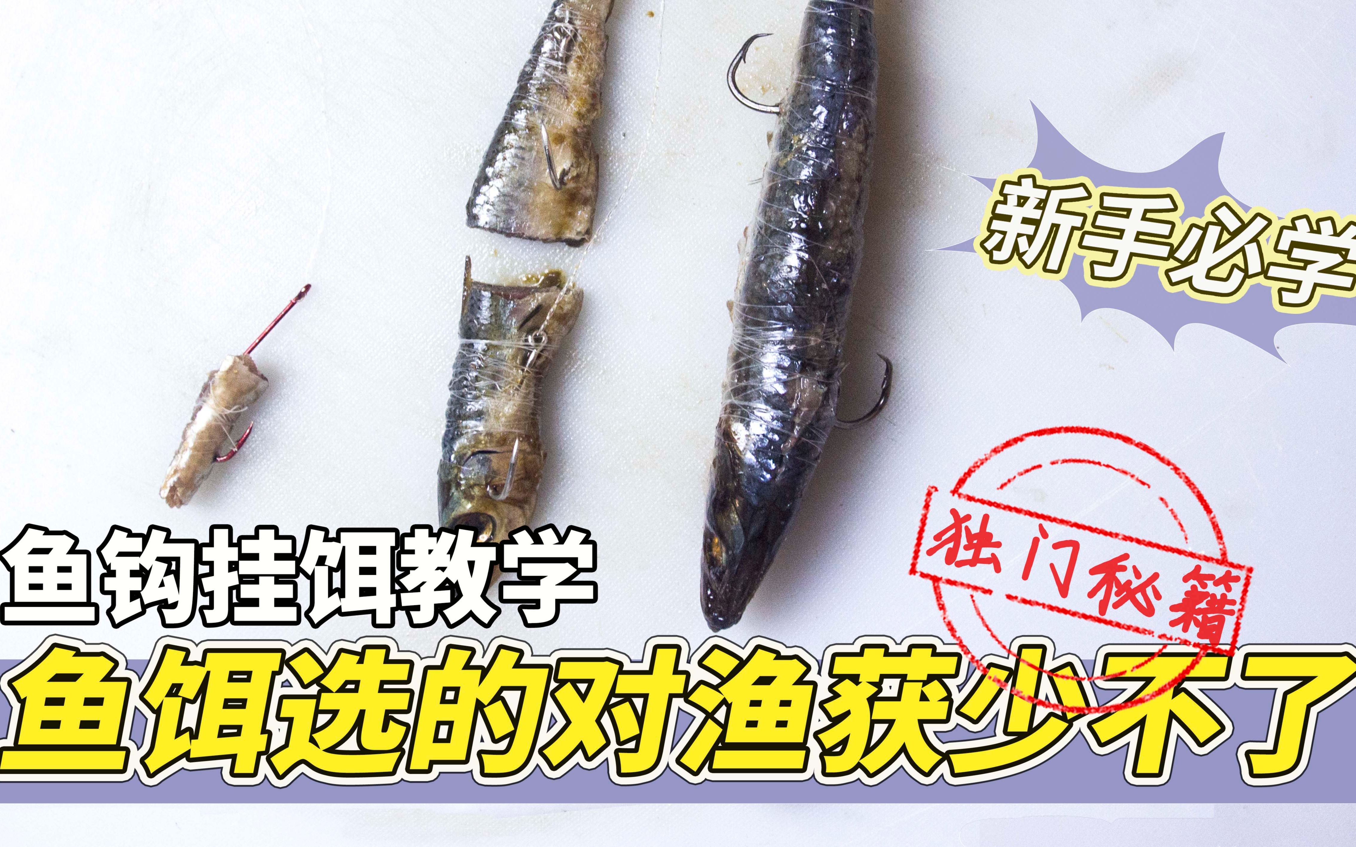 钓鱼新手教学,选鱼饵不纠结,海钓万能饵通杀全鱼种,以及鱼饵怎么挂#鱼饵怎么挂#海钓鱼饵#海钓用什么鱼饵#海钓入门#鱼饵推荐#沙丁鱼鱼饵#哔哩哔...