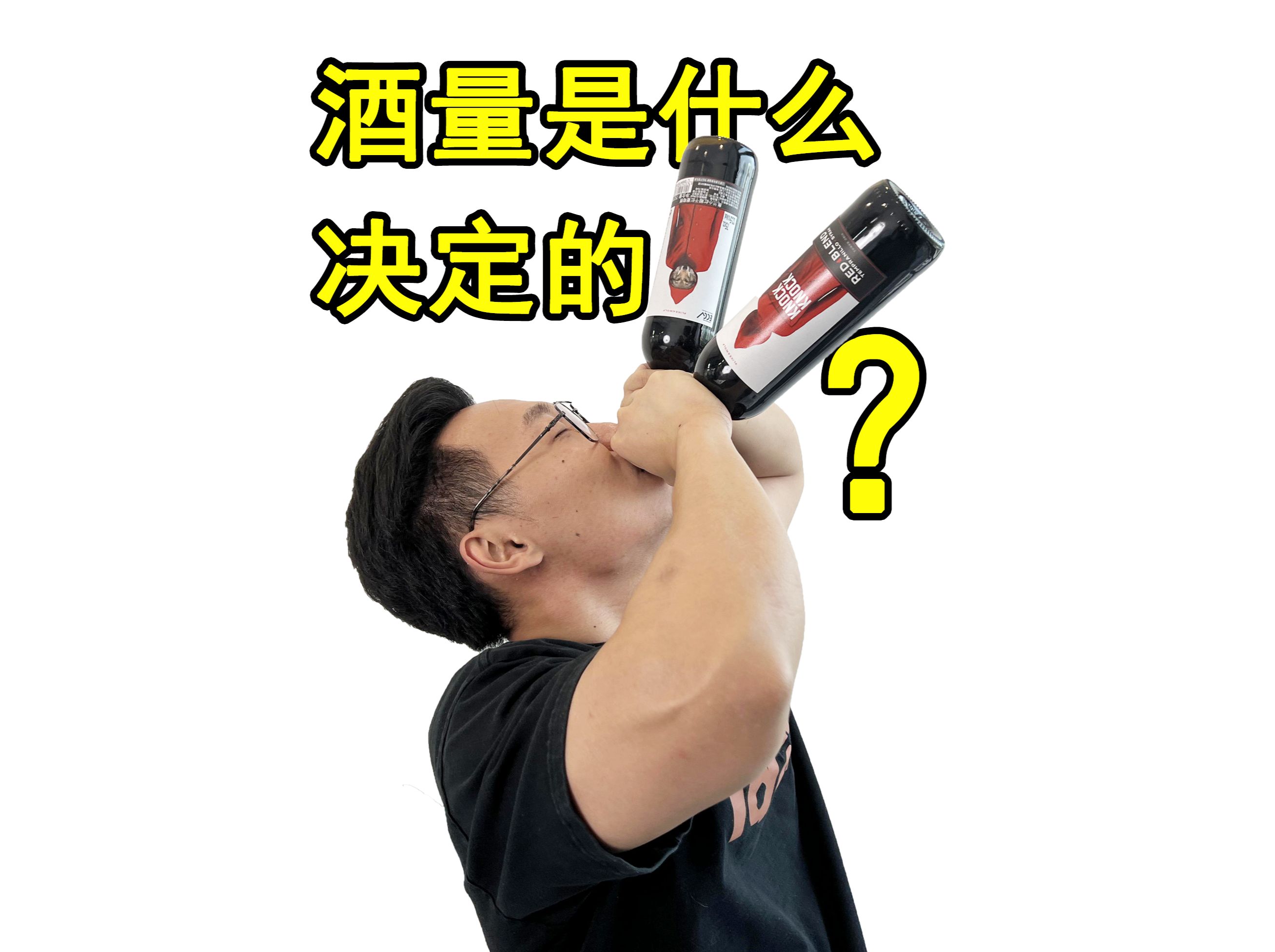 酒量是由什么决定的?