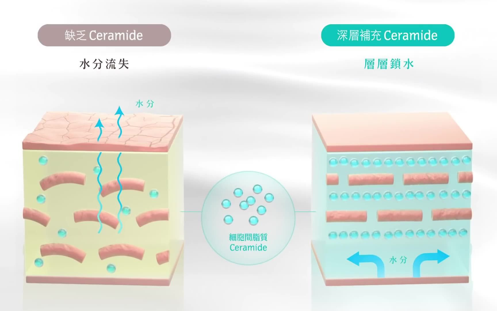 《Cur㩬高效「细胞间脂质Ceramide护理 」 从根本改善干燥敏感》 TVC广告哔哩哔哩bilibili