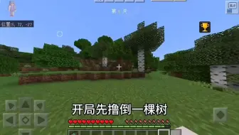 我的世界  惊变一百天生存  （1）
