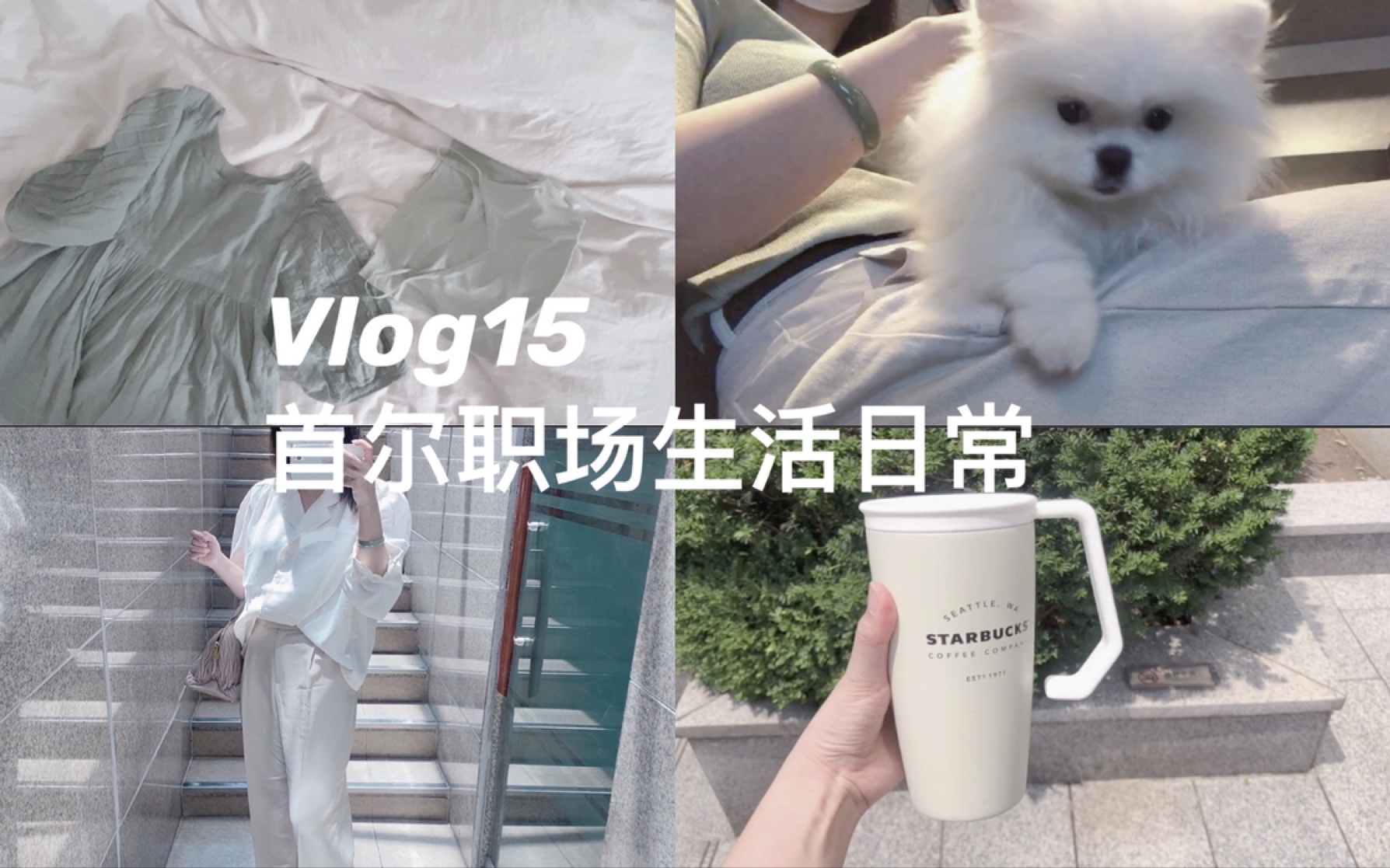 Vlog15韩国独居生活:日常穿搭|林荫路逛文具体|搬砖撸狗|失败的核酸检测经历|烤牛油果|馄饨味饺子|一个人的咖啡厅|韩剧哔哩哔哩bilibili