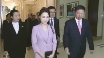 Tải video: 好温婉大气的雪主，