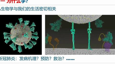 啊啊啊 我的脑子 简直是朽木不可雕也 哔哩哔哩