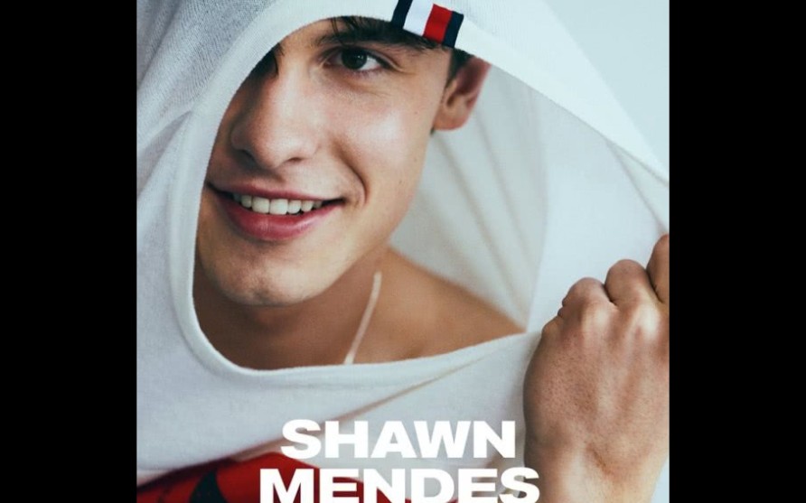 【shawn mendes】