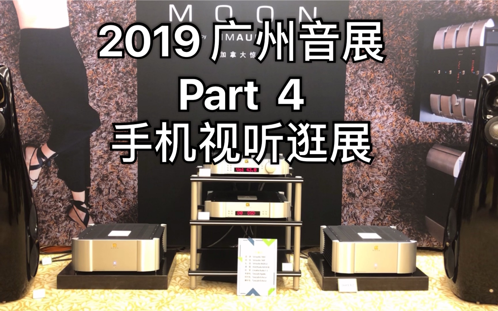 [图]2019 广州国际音响唱片展 Part 4国产真的能碾压进口？-Steven HIFI云视听 声韵杨菁姚瑛格声擎惊雷Vivid AE Vegen李小沛T+A真力