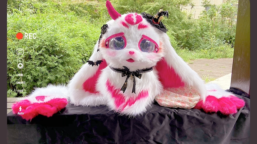 【兽装掉落】种族垂耳兔(待取名)价格3200,一整套包含了很多配件图片