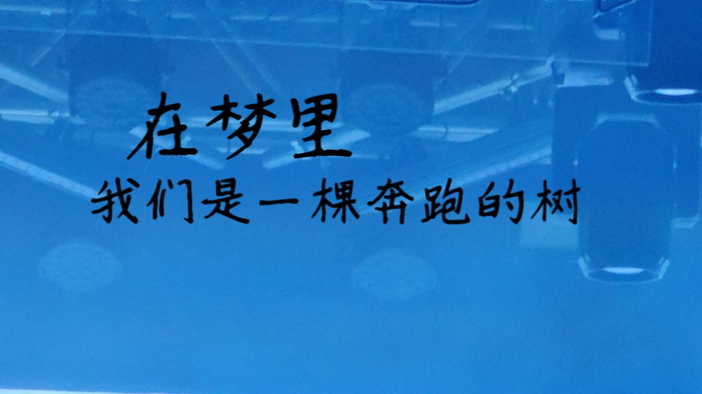 [图]在梦里我们是一棵奔跑的树 （合唱）妖扬 王敬轩 今夕何夕音乐会广州