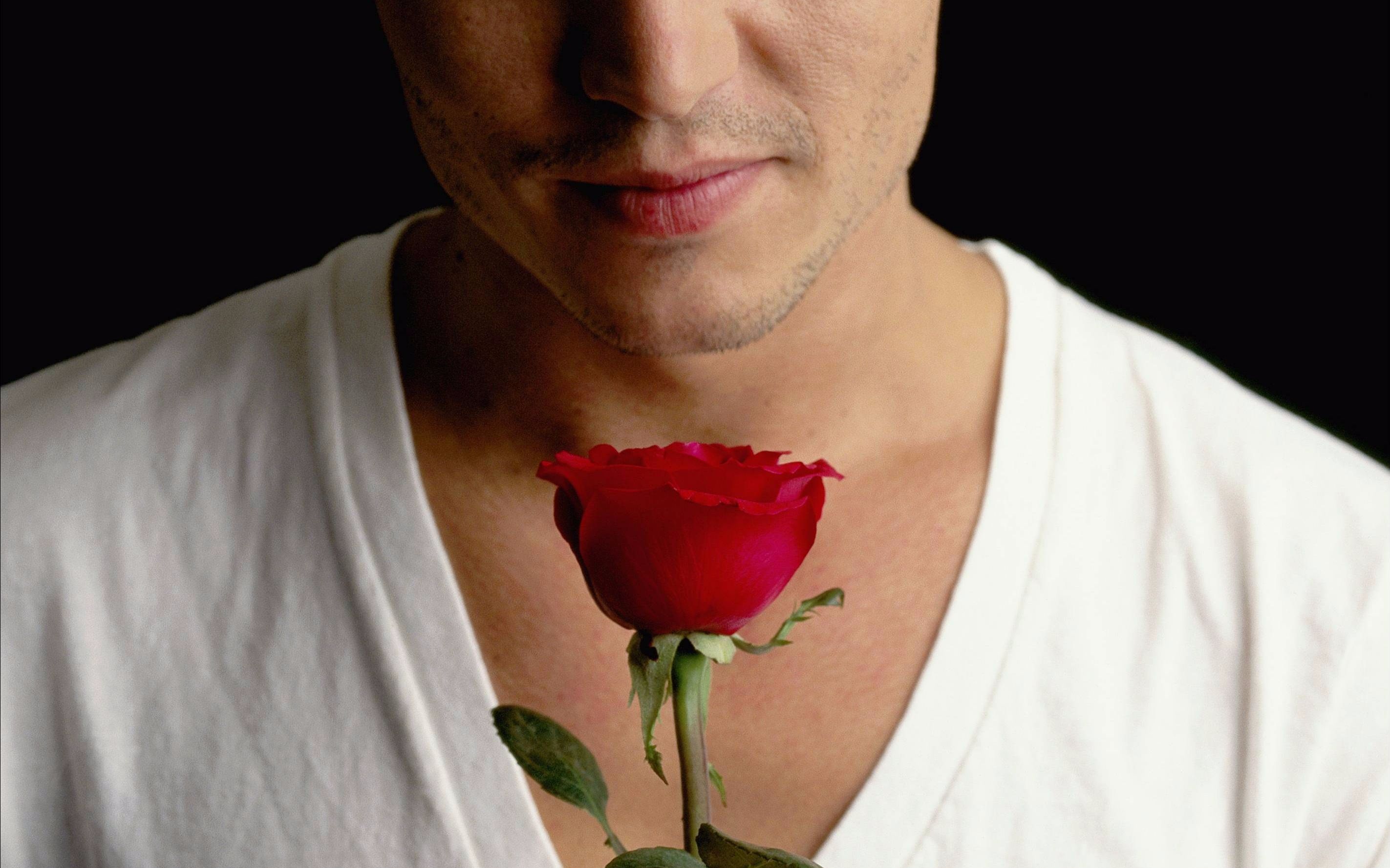 【娇妮待扑字幕组】约翰尼德普@保罗·麦卡特尼 mv x 3