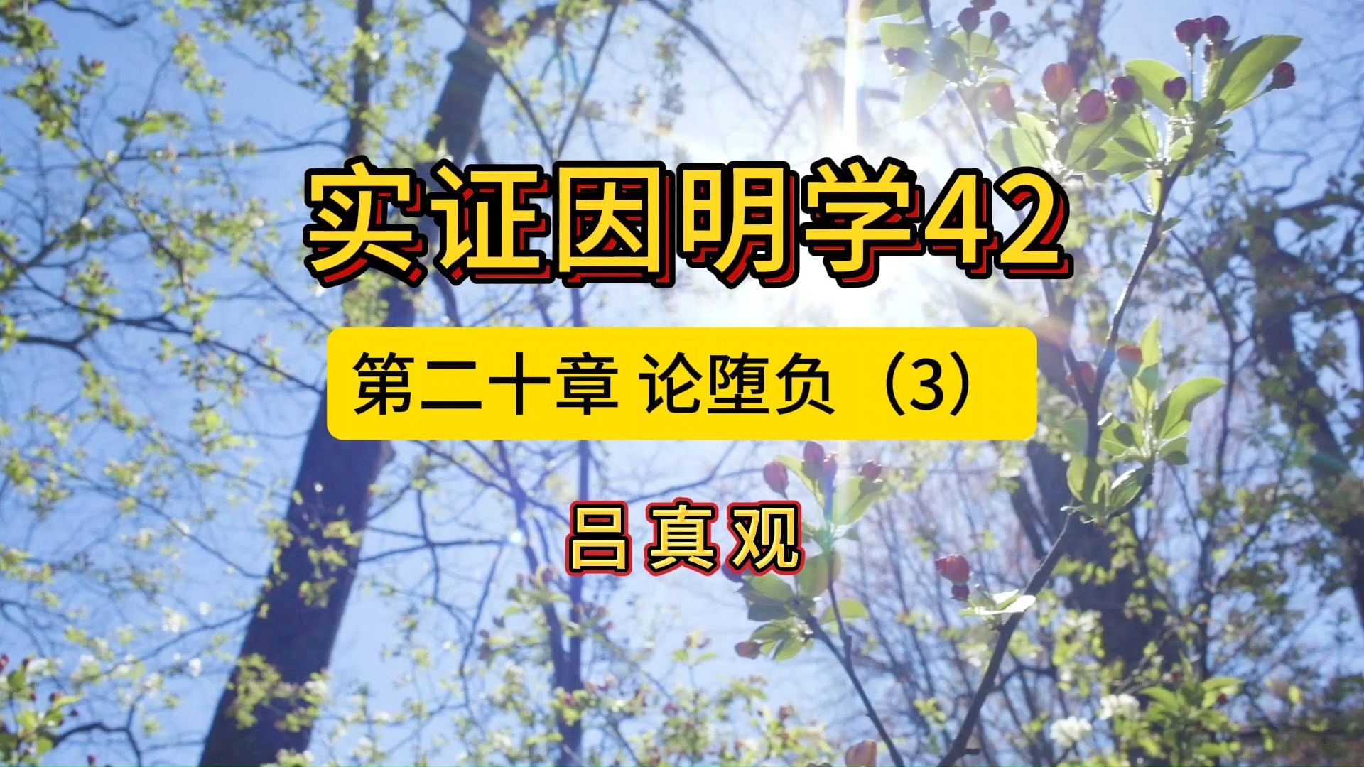 实证因明学42第二十章 论堕负(3)哔哩哔哩bilibili