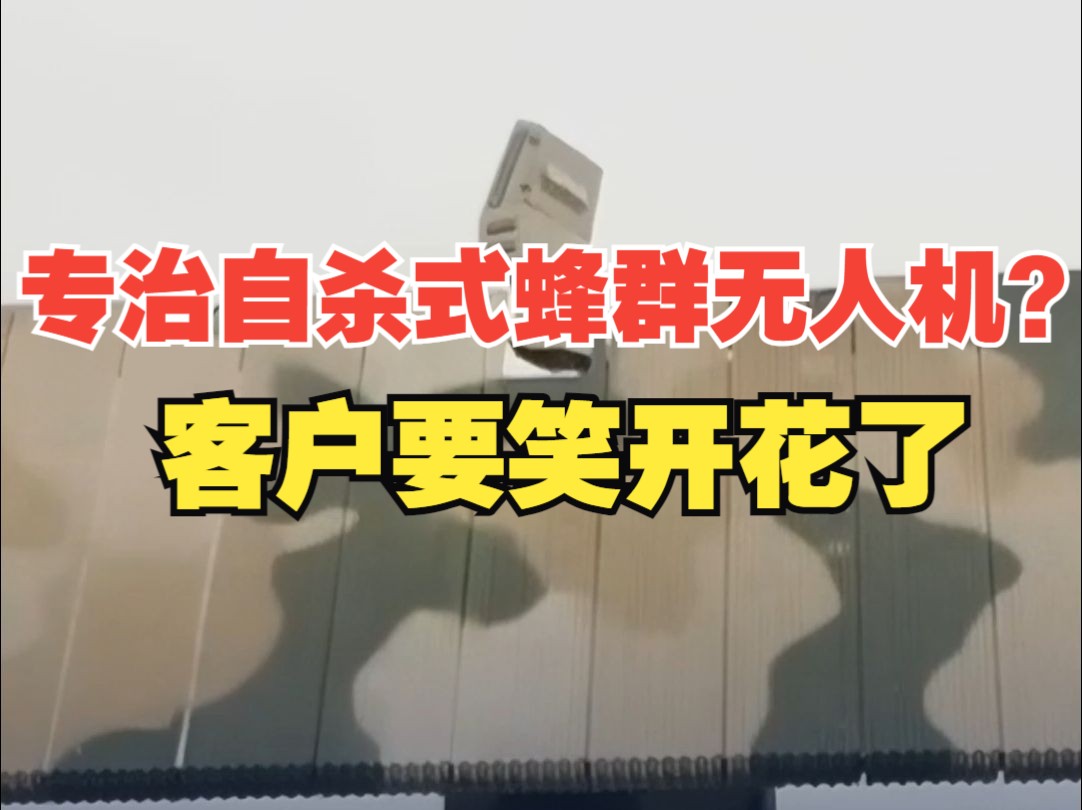 原理和微波炉一样?中国研发出高功率微波武器专治自杀无人机 :可将3千米高空的无人机烤得“外焦里嫩”哔哩哔哩bilibili