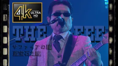 thealfee-哔哩哔哩_Bilibili