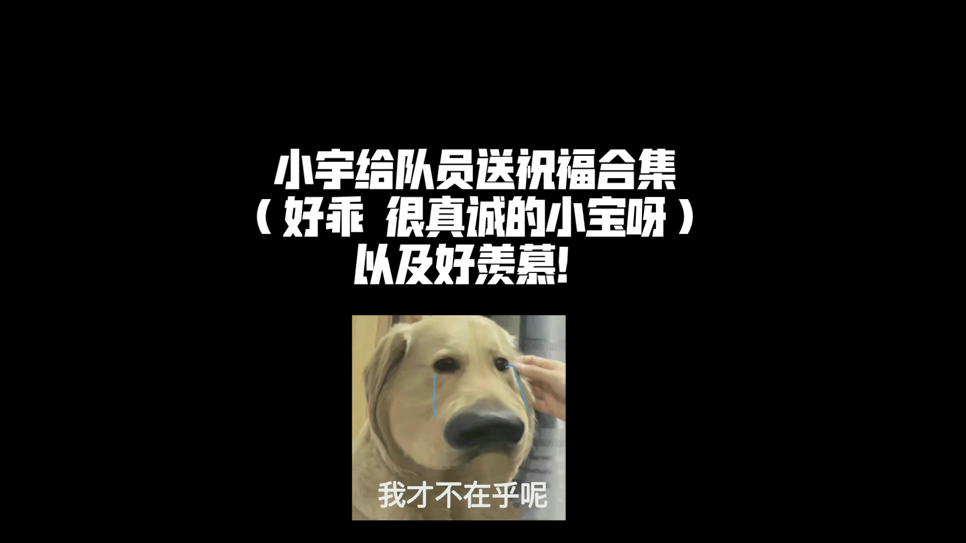 【刘宇|送队友祝福合集】得想办法也抓一个刘宇来给我庆生哔哩哔哩bilibili