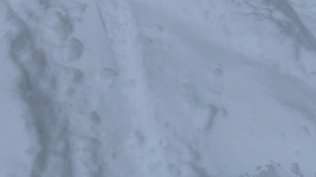 加拿大东部蓝山:一周降雪量超过一米 从来没遇到过的粉雪蓝鸟天!哔哩哔哩bilibili