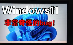 Download Video: 救命！Windows11非常奇怪的bug，整个桌面都无响应！我不想再重装系统了！