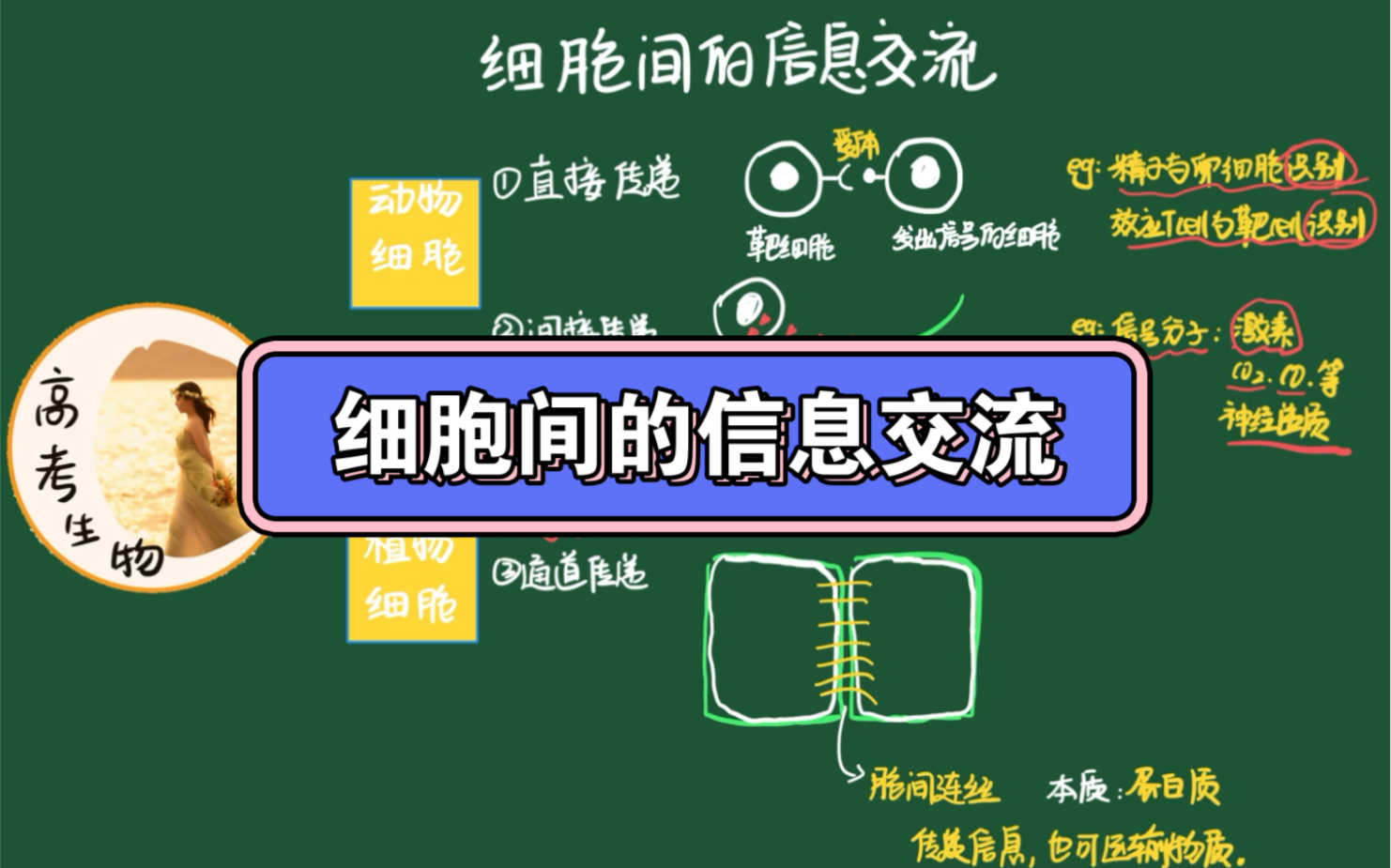 新/旧高考|生物|细节知识点|1.12细胞间的信息交流哔哩哔哩bilibili