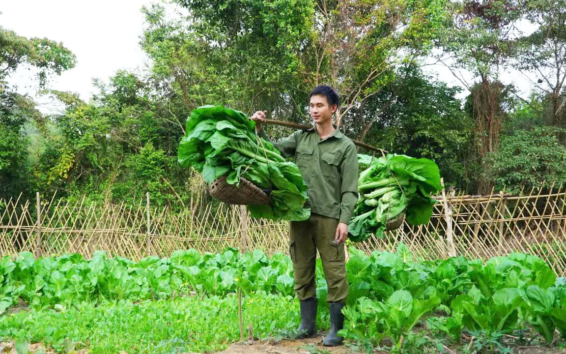 收获自己种的蔬菜,准备储存起来,原生态田园生活日记哔哩哔哩bilibili