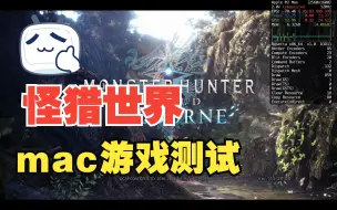 Video herunterladen: mac游戏测试：怪物猎人·世界