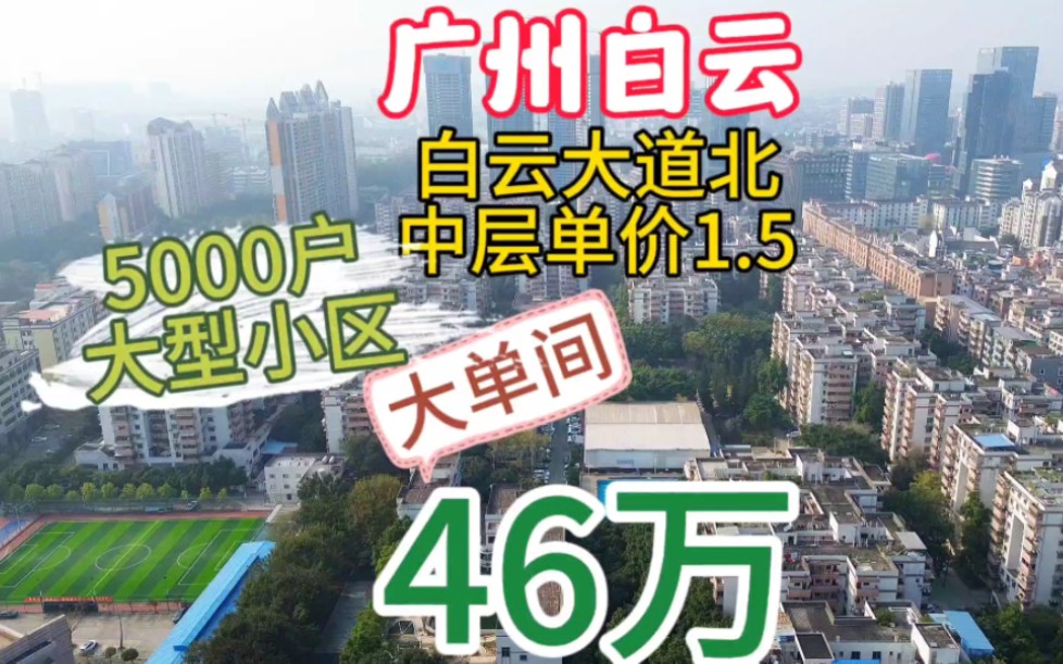 广州白云大道北5000多户大型小区中层大单间 全明单价1.5南向阳台 上车盘哔哩哔哩bilibili