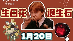 Ayo 生日花 诞生石 1月19日 树荫下的亚当与夏娃白色野荨麻花 权力优雅的代表石榴石 专属于你的祝福力量 哔哩哔哩