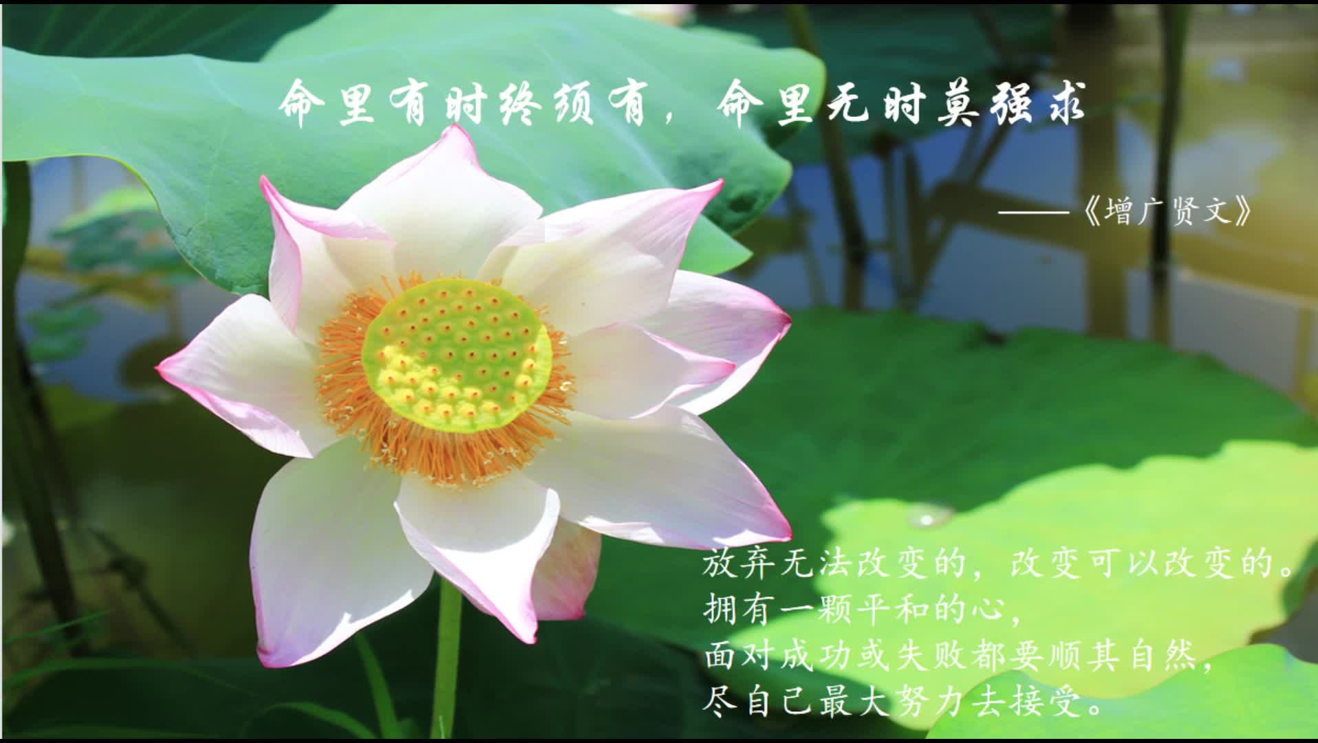 命里有时终须有,命里无时莫强求