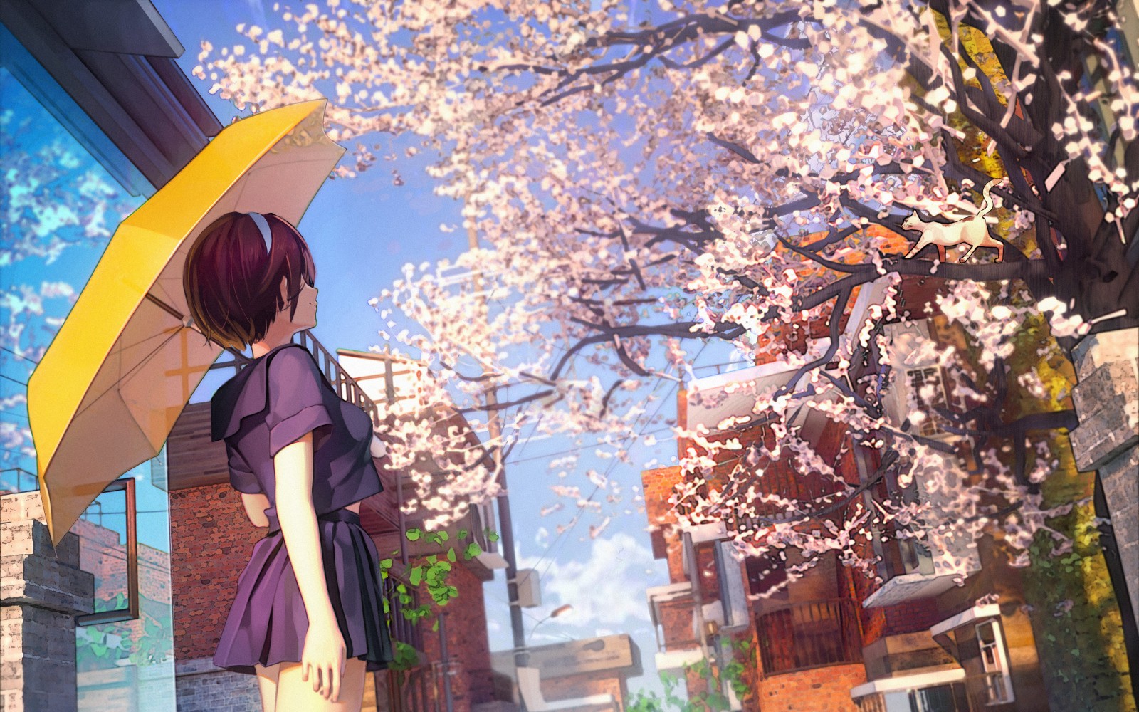 【青空下的落樱,那是逝去的青春】-30部动漫混剪,带你找寻回忆_哔哩