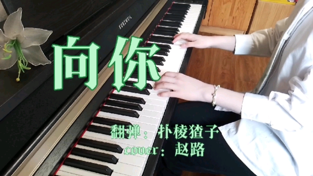 【时绘】《向你》钢琴翻弹(cover:赵路)哔哩哔哩bilibili