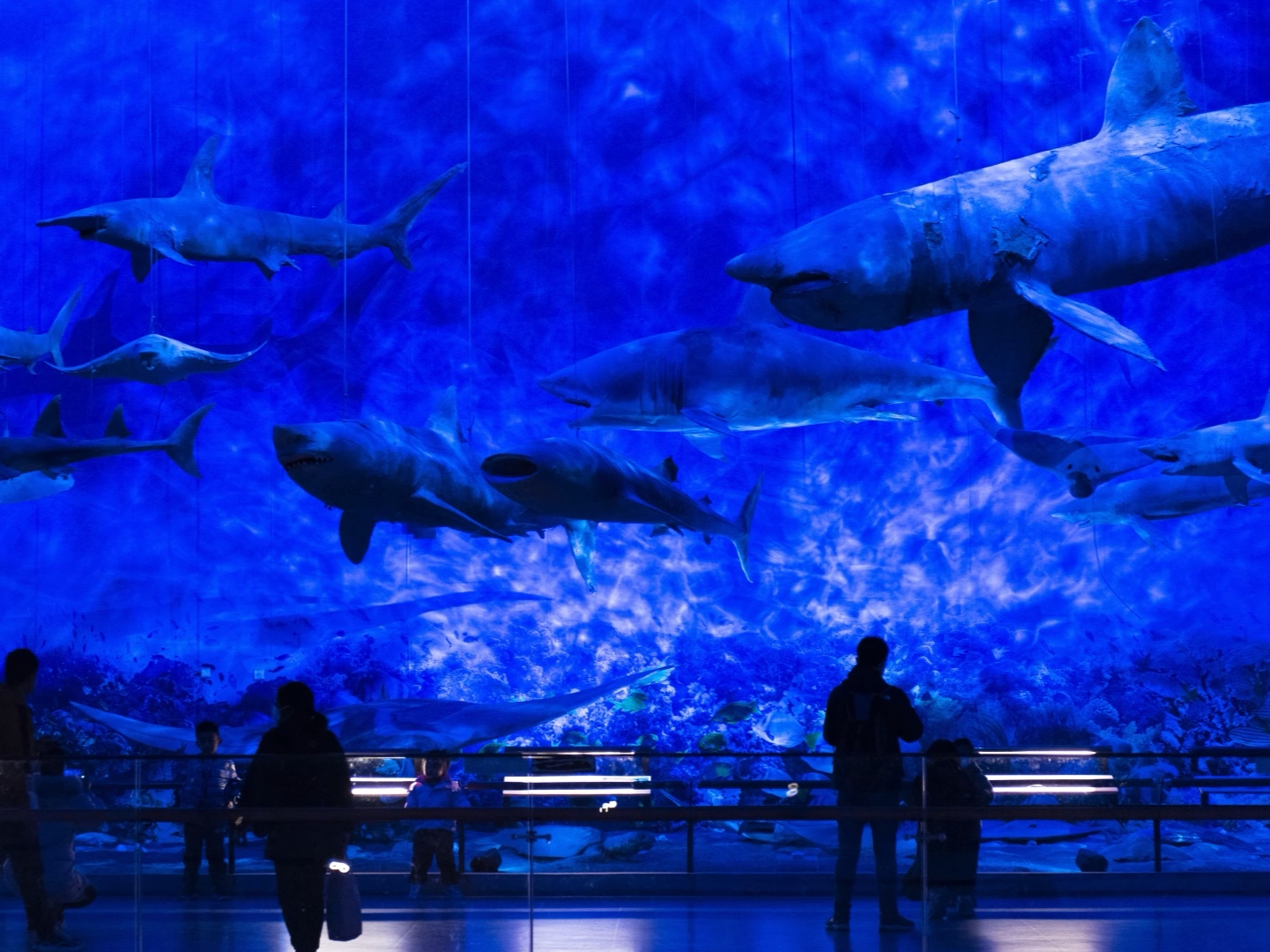 【觉达·旅拍】广东省博物馆&广州博物馆 掠影