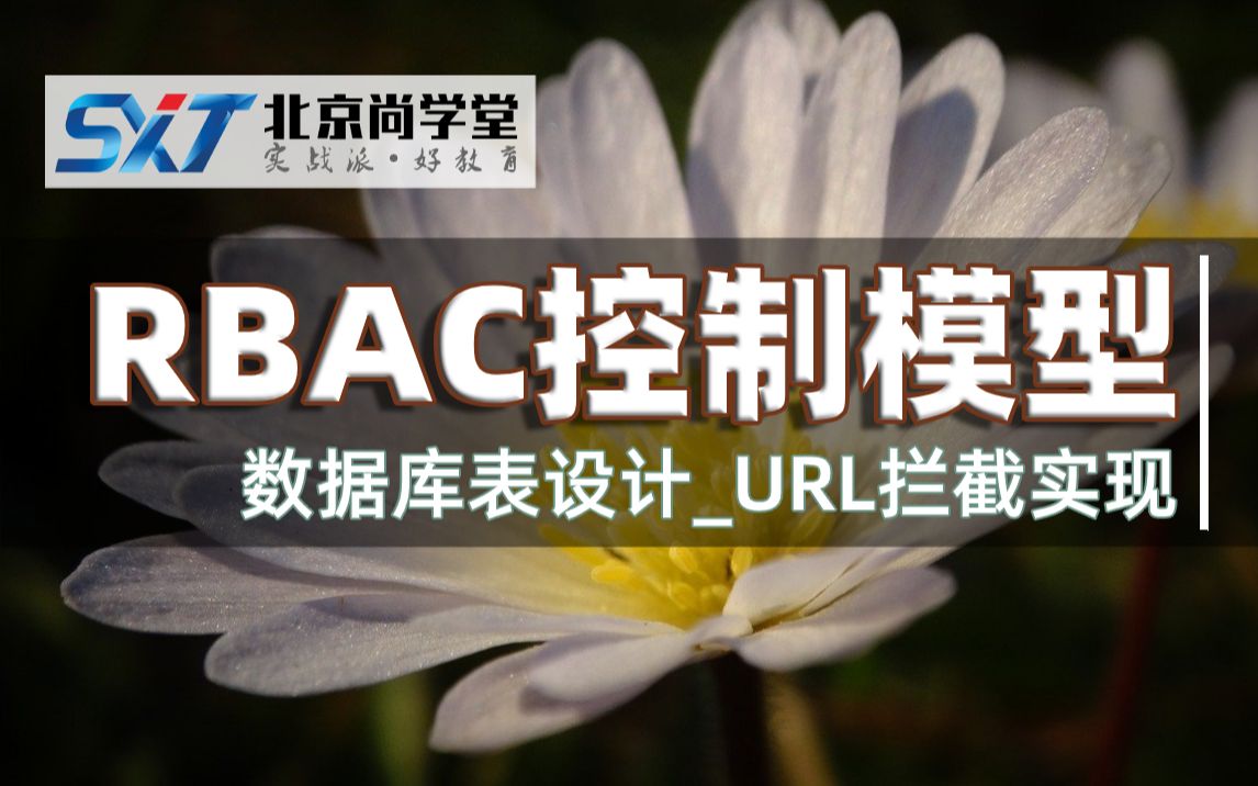 Java工程师之RBAC权限控制项目教程RBAC权限控制讲解RBAC权限控制URL拦截实现哔哩哔哩bilibili