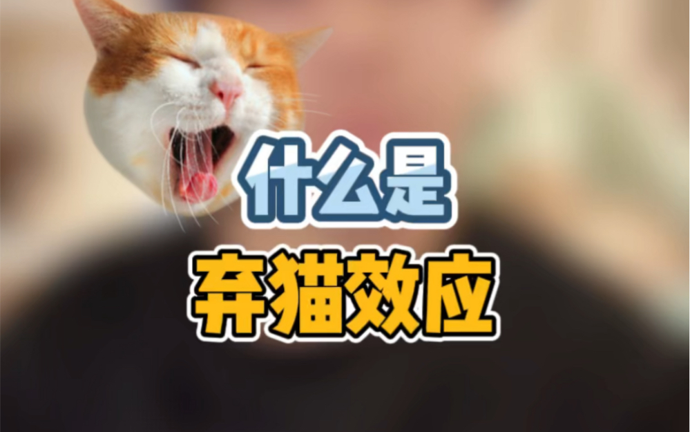 [图]“弃猫效应”不是教你弃猫的…