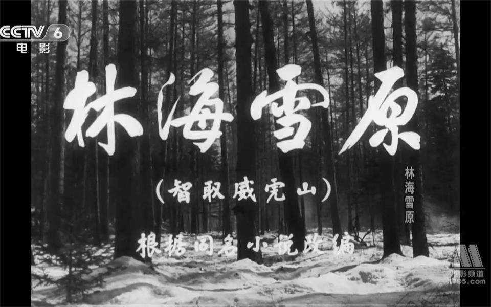 【动作/战争】林海雪原 1960年【CCTV6高清720p】哔哩哔哩bilibili