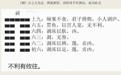 周易折中(十一)(剥复)哔哩哔哩bilibili