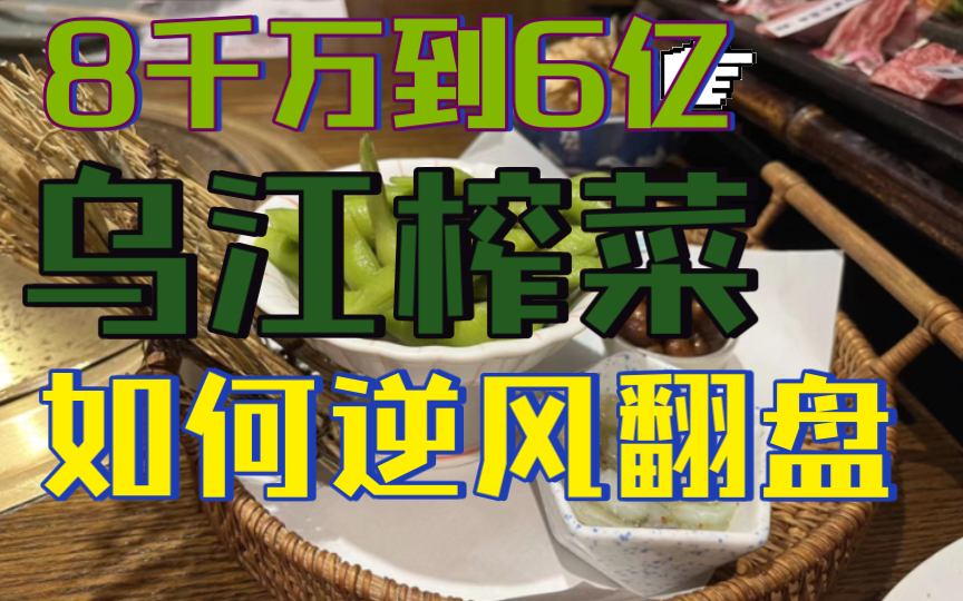 从8千万到6亿,乌江榨菜,如何逆风翻盘?哔哩哔哩bilibili