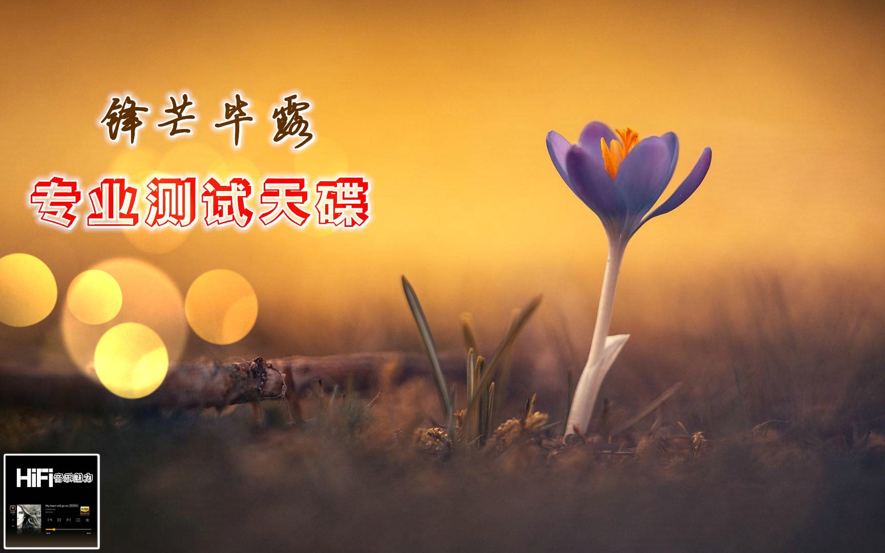 bose音箱专业测试天碟锋芒毕露立体声wav分轨