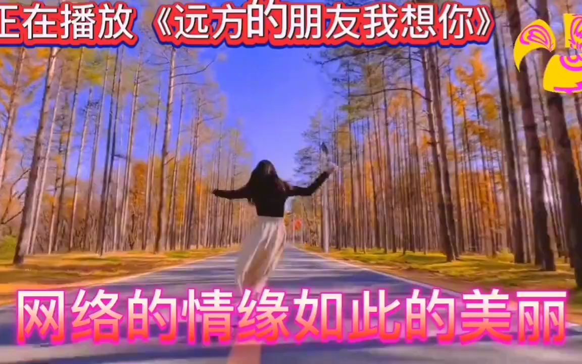 [图]6首花树超好听歌曲《远方的朋友我想你》多希望你来陪！