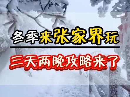 冬季想来张家界体验 堆雪人打雪仗,三天两晚的赏雪攻略来了,费用不高人均不到一千就可以了哔哩哔哩bilibili