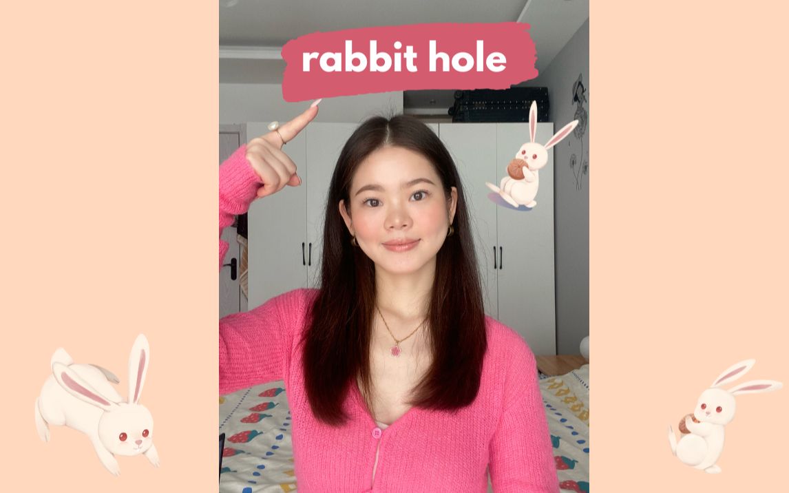 英文俚语 | rabbit hole原来是这个意思哔哩哔哩bilibili