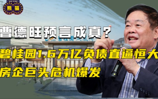 曹德旺一语成谶,碧桂园1.6万亿负债直逼恒大,早已预言地产不妙哔哩哔哩bilibili